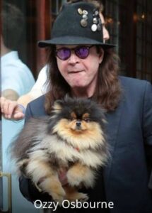 WhatsApp Image 2022-09-30 at 11.55.09