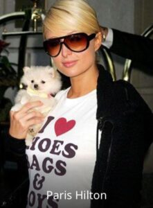 WhatsApp Image 2022-09-30 at 11.55.40