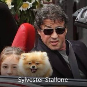 WhatsApp Image 2022-09-30 at 11.56.04