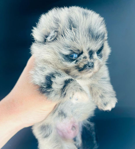 1a6f1fb0-7737-4635-8358-765bdd7616a7