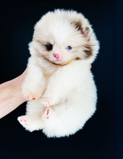 208563f7-df99-4e82-8553-6c8368d720ca