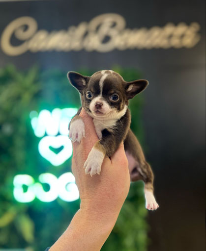 27ac8e34-d5f2-498d-a522-142ed38860ff