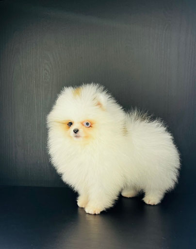 75701dd6-4f87-47aa-9e41-f017eaf1477a