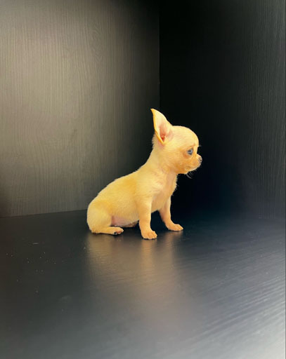 7d544265-6b43-4c6b-ad0a-66367b306cb8