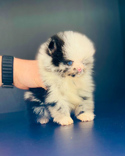 9921B20D-BC00-49FB-821A-A5E216971D75