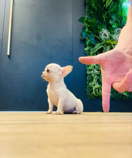 fc73adb0-0c09-4645-9514-5ad57cad6788