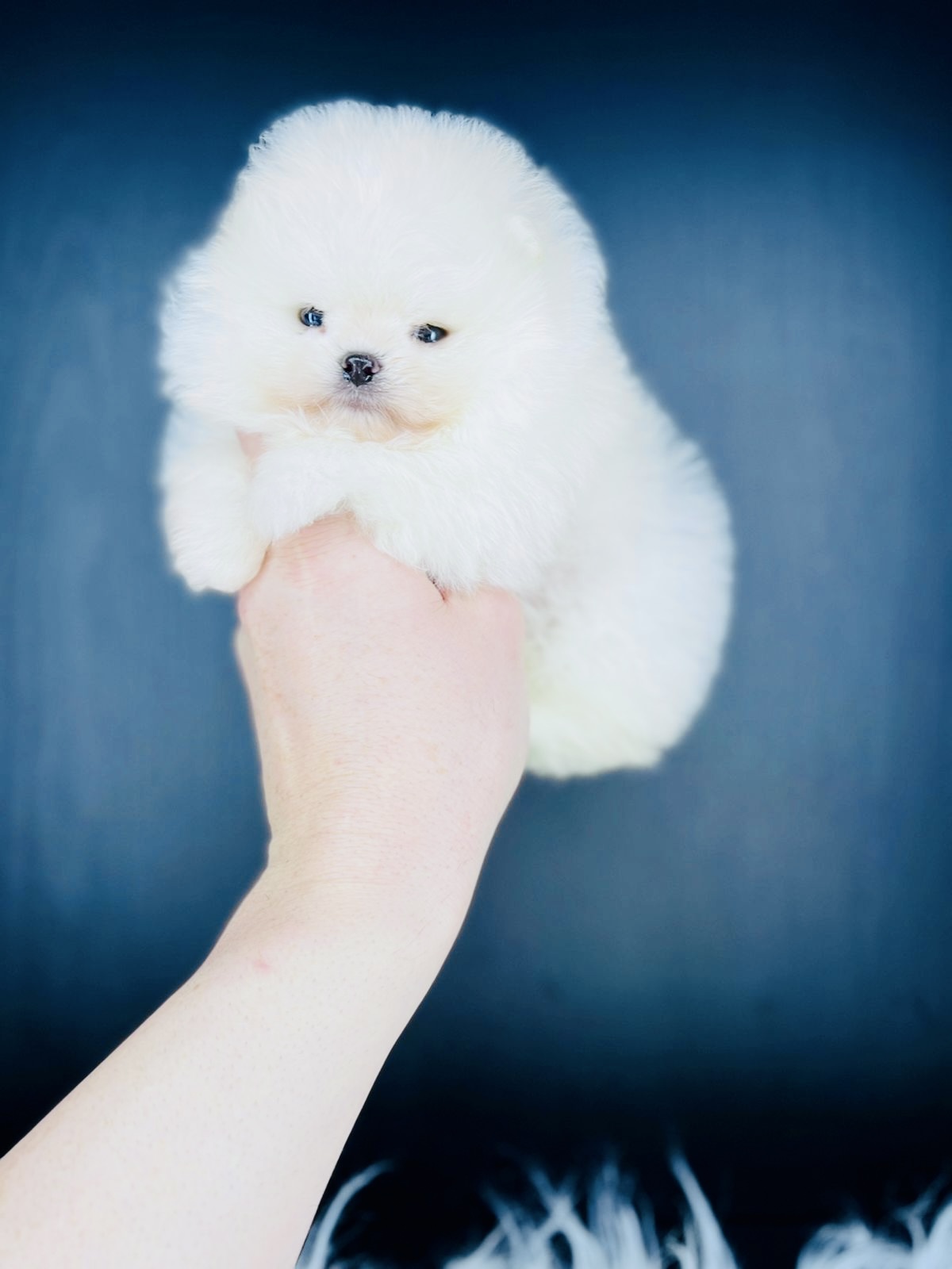 14b0637c-b964-4d0e-84e4-1a8fd0d0fcff