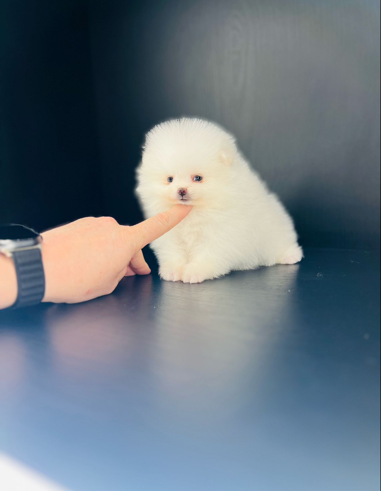 1cd05dea-ac74-4033-96ef-269db4d67531