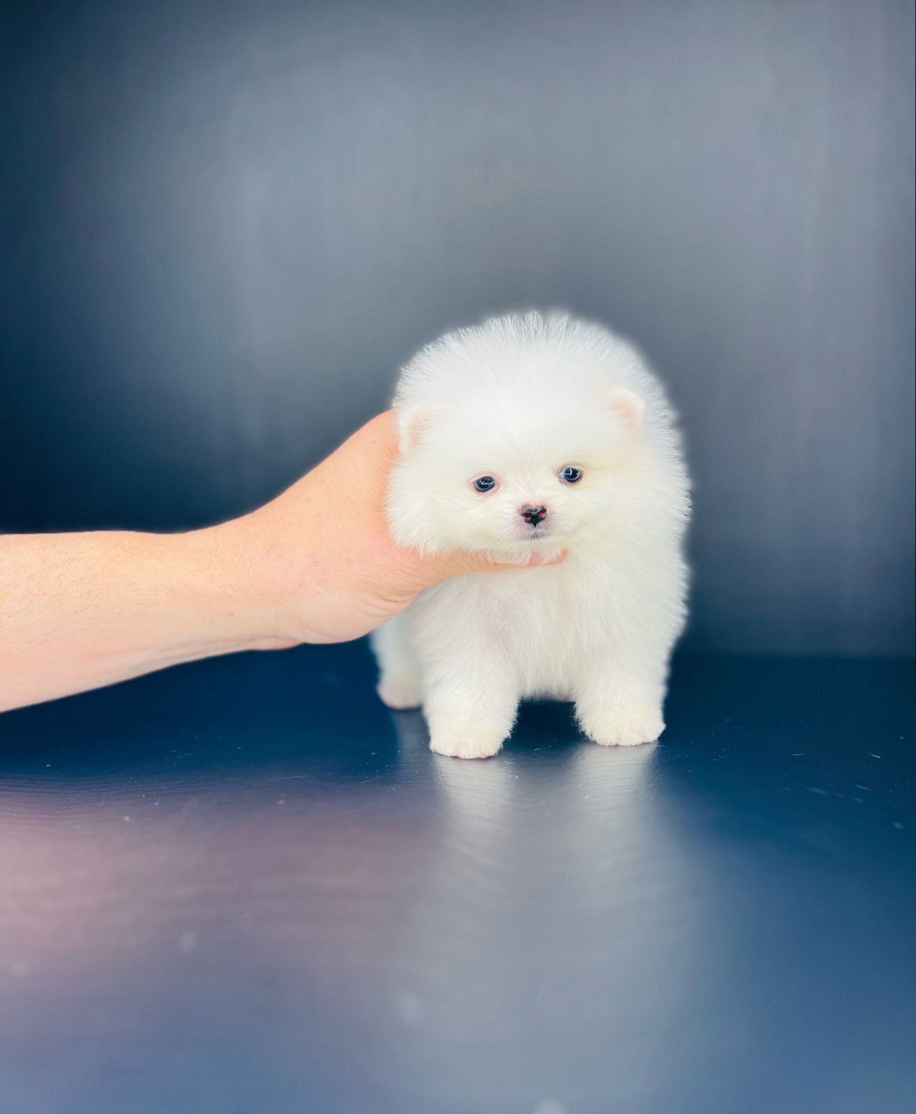 c0736583-b651-4381-80cb-8a9778c4b5a8